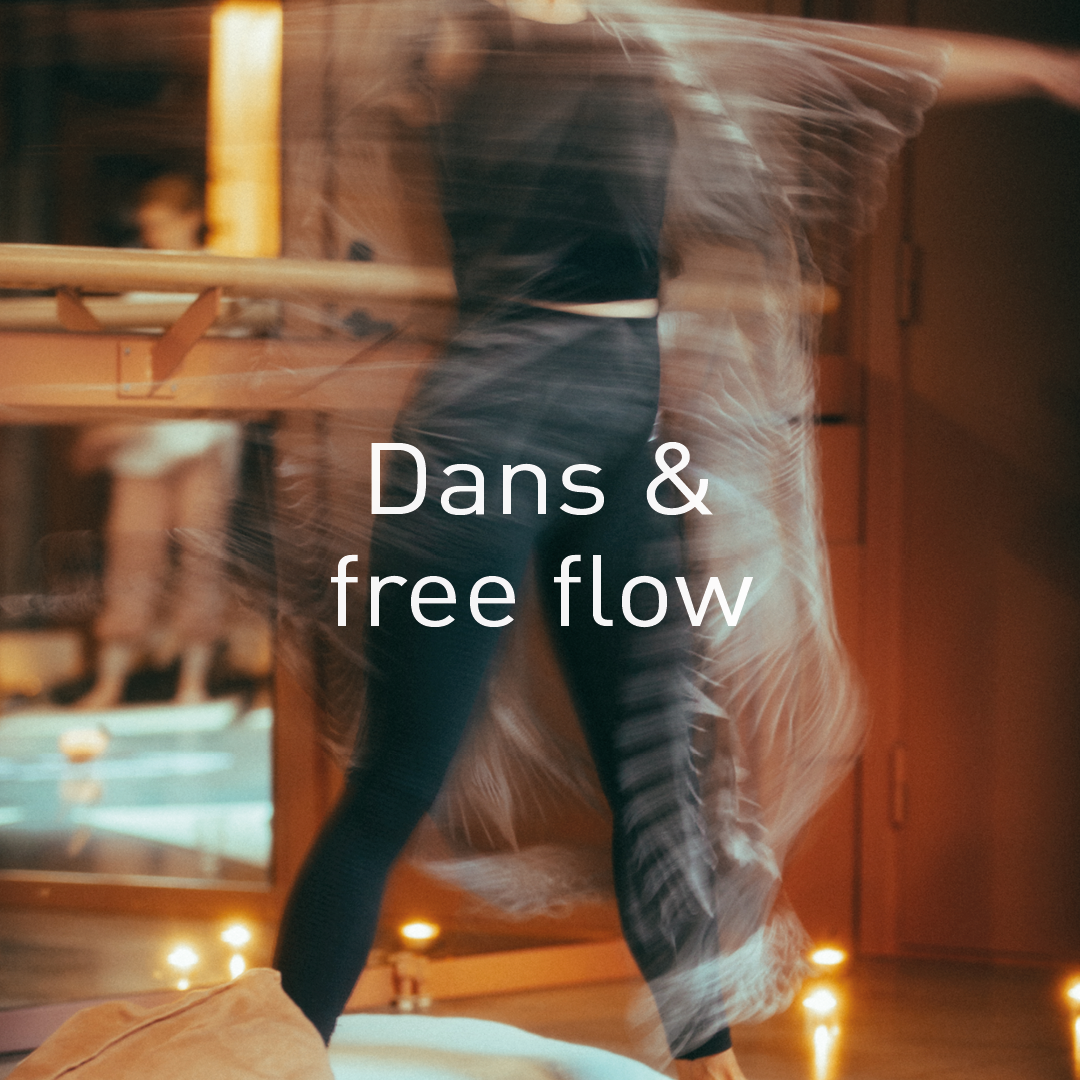 Mothership-dans-free-flow-dance