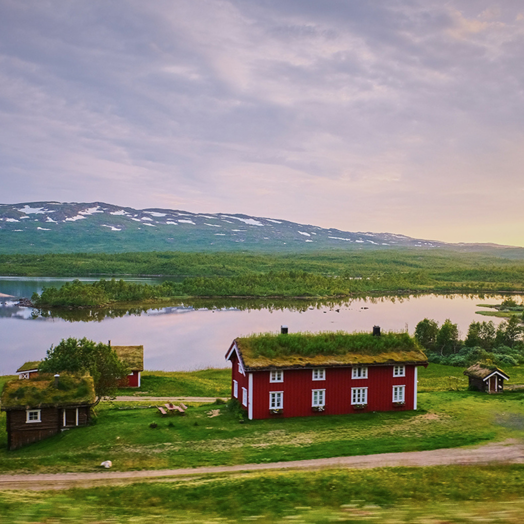 mothership-holistiska-events-sverige